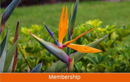 Membership